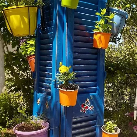 Το Σπίτι Της Ελένης Apartment Vlachia Exterior photo
