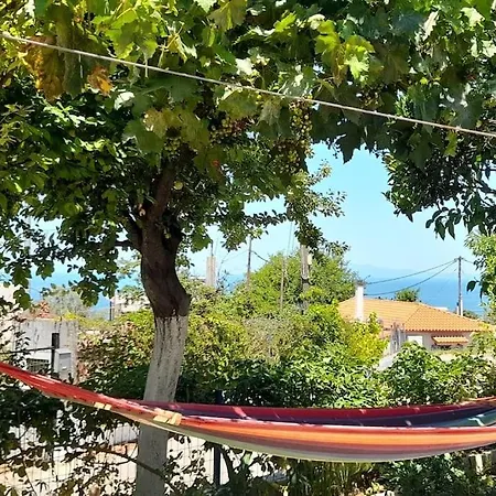 Το Σπίτι Της Ελένης Apartment Vlachia Exterior photo