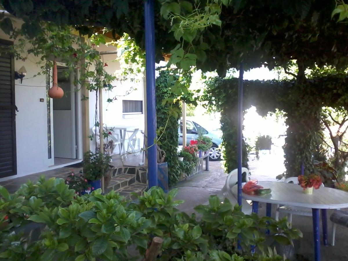 το σπίτι της ελένης Apartment Vlachia