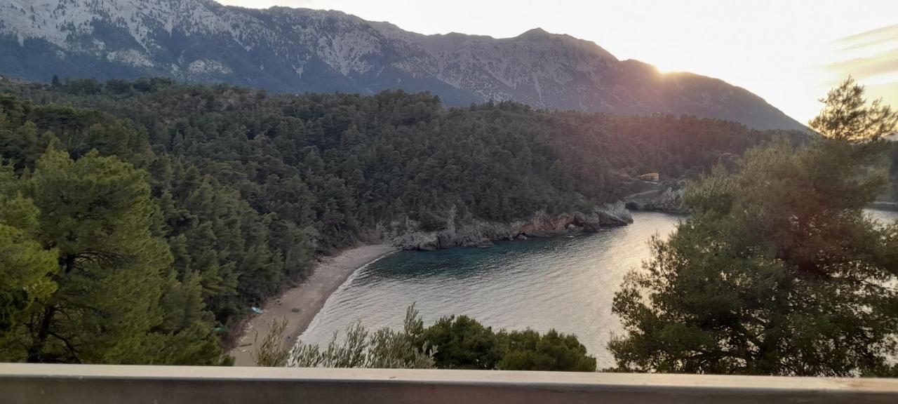 το σπίτι της ελένης Vlachia