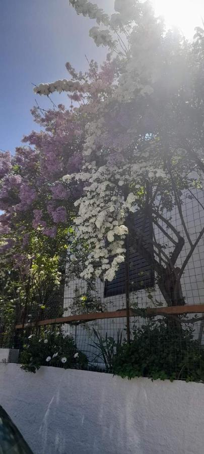 το σπίτι της ελένης Apartment *