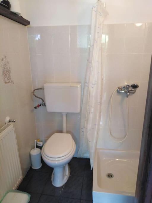 Apartmán το σπίτι της ελένης Vlachia