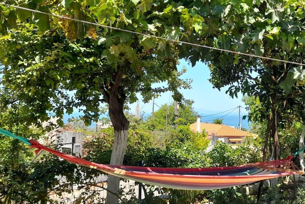 Apartment το σπίτι της ελένης