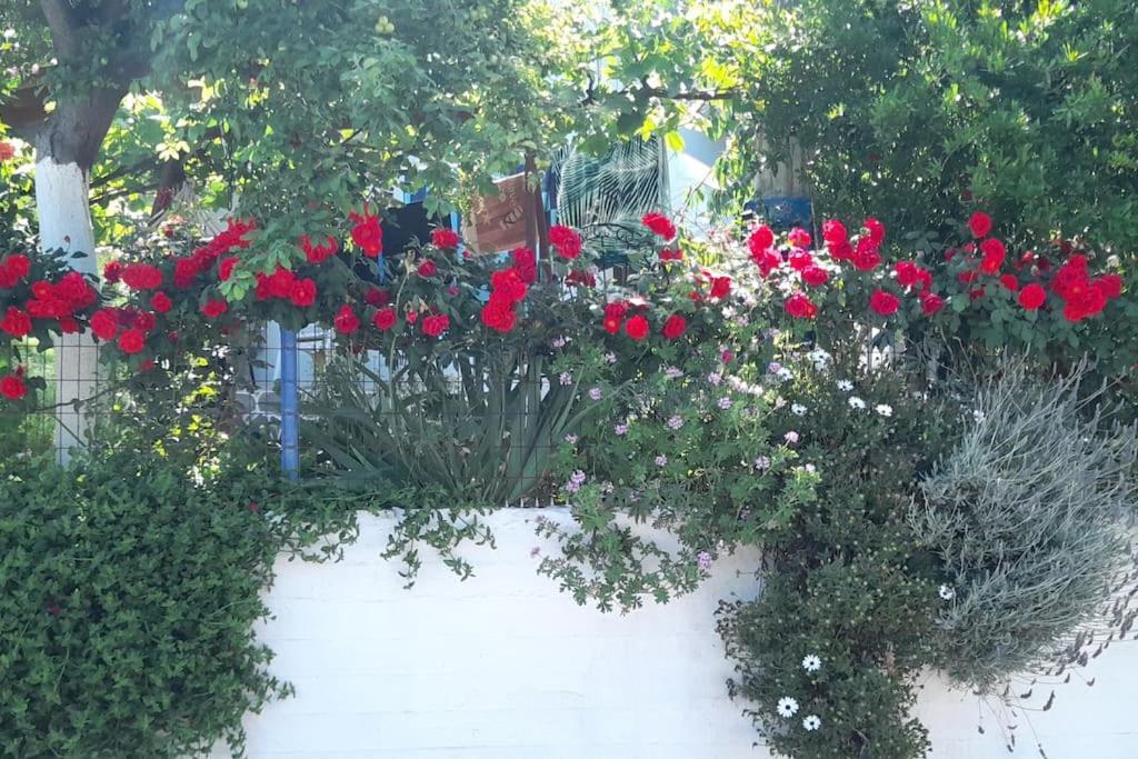 Apartmán το σπίτι της ελένης *