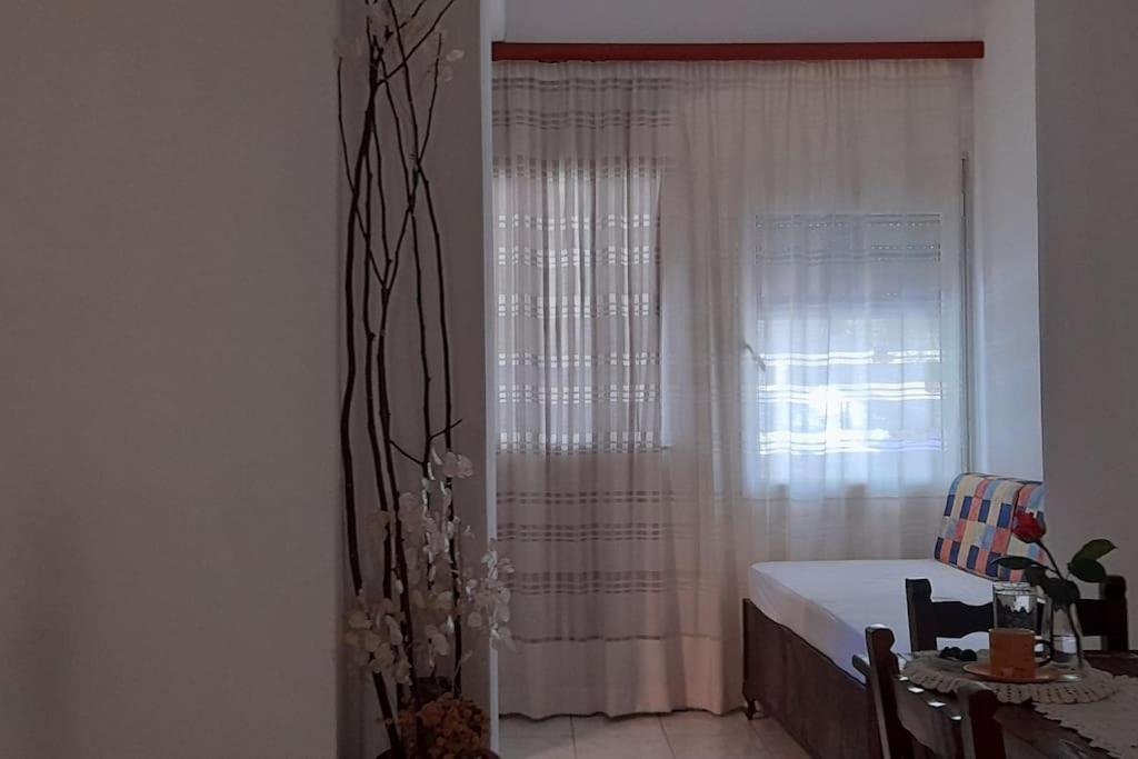 το σπίτι της ελένης Apartment Vlachia