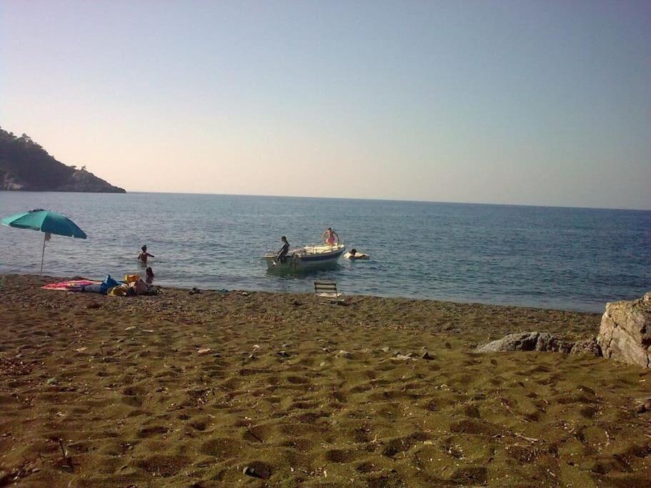 Apartment το σπίτι της ελένης Vlachia