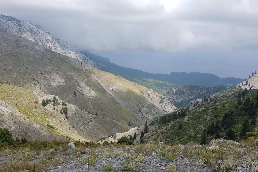 το σπίτι της ελένης Vlachia