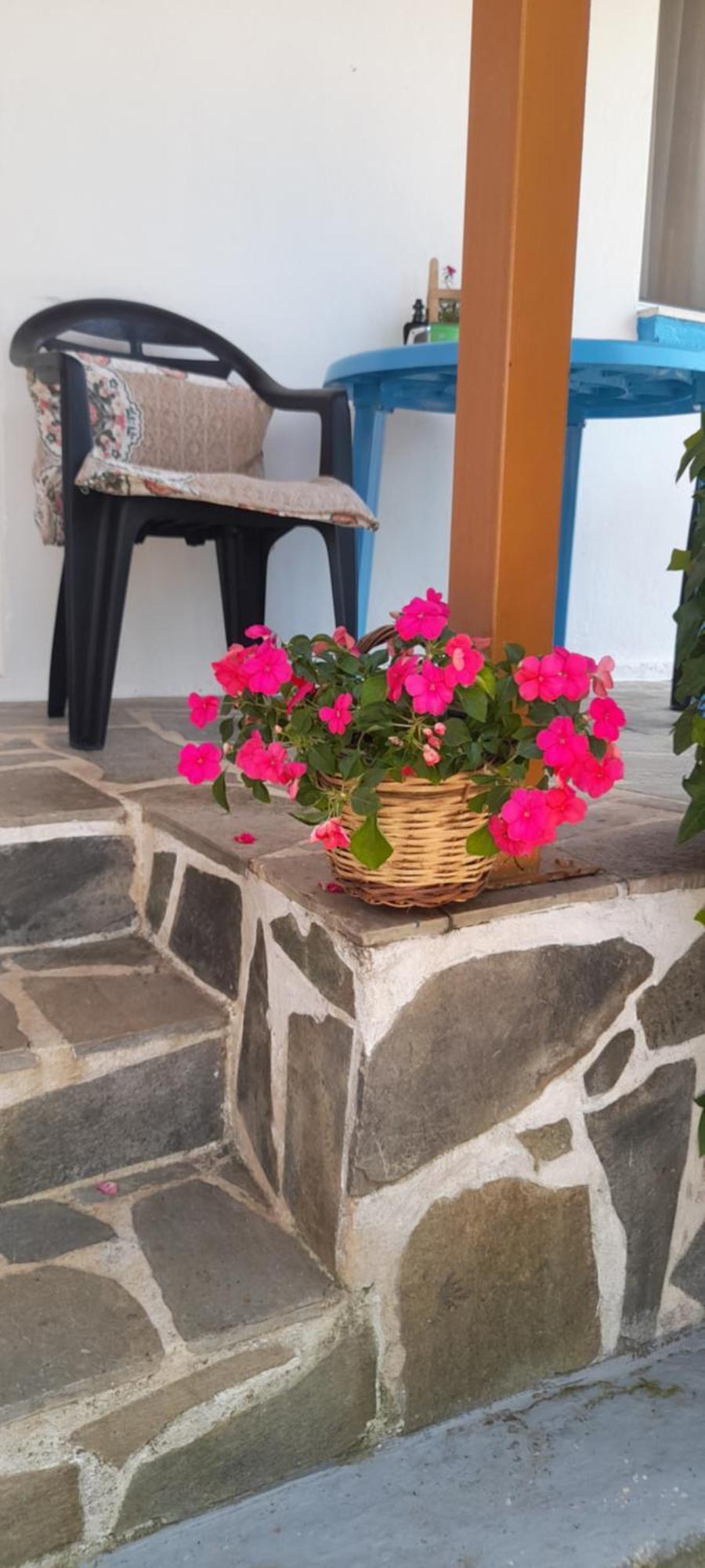 το σπίτι της ελένης *