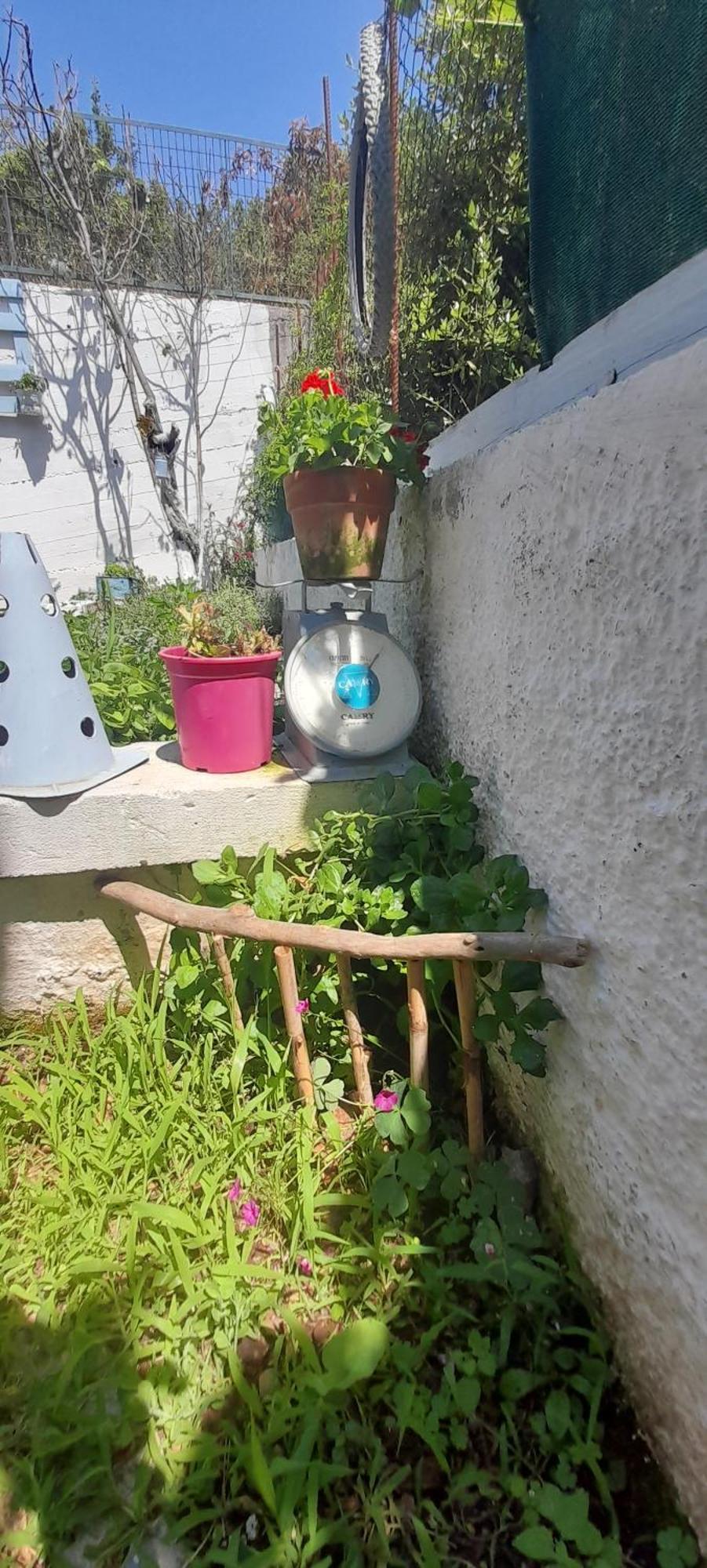 το σπίτι της ελένης Apartment Vlachia