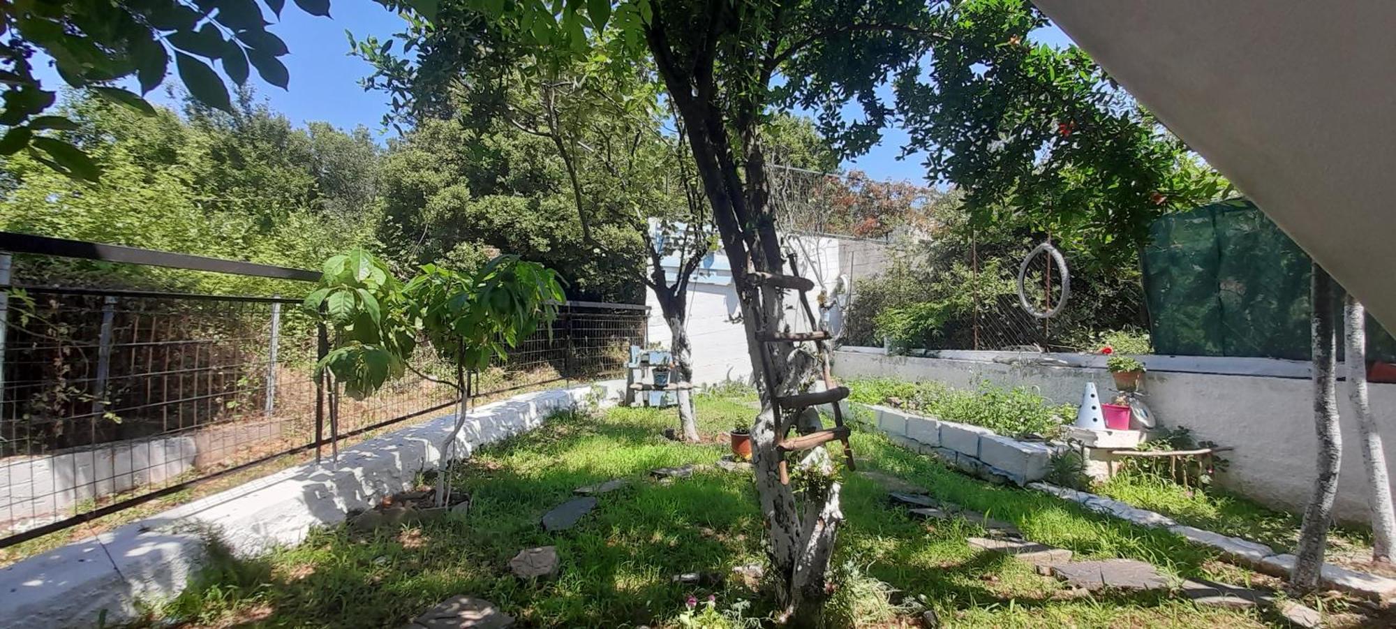 Apartment το σπίτι της ελένης Vlachia